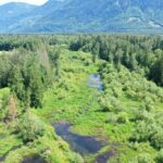 Upper Slough